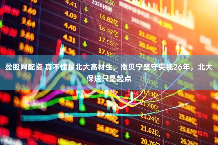 盈股网配资 真不愧是北大高材生，撒贝宁坚守央视26年，北大保送只是起点