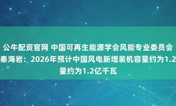 公牛配资官网 中国可再生能源学会风能专业委员会秘书长秦海岩：2026年预计中国风电新增装机容量约为1.2亿千瓦